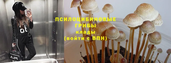 гашишное масло Горняк