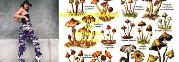 гашишное масло Горняк