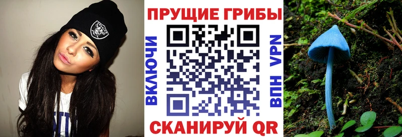 мориарти клад  Мензелинск  Галлюциногенные грибы GOLDEN TEACHER 