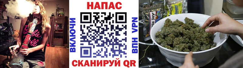 Шишки марихуана Bruce Banner  купить  сайты  Мензелинск 